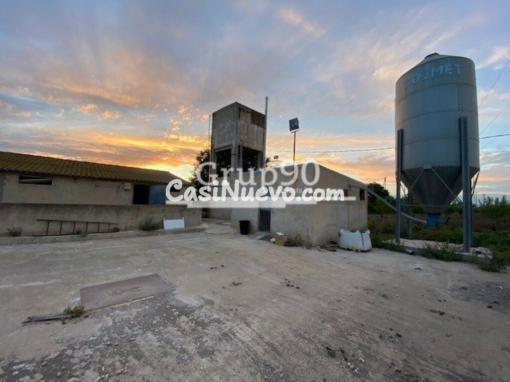 Granja para explotación de cerdos en Santa Bárbara