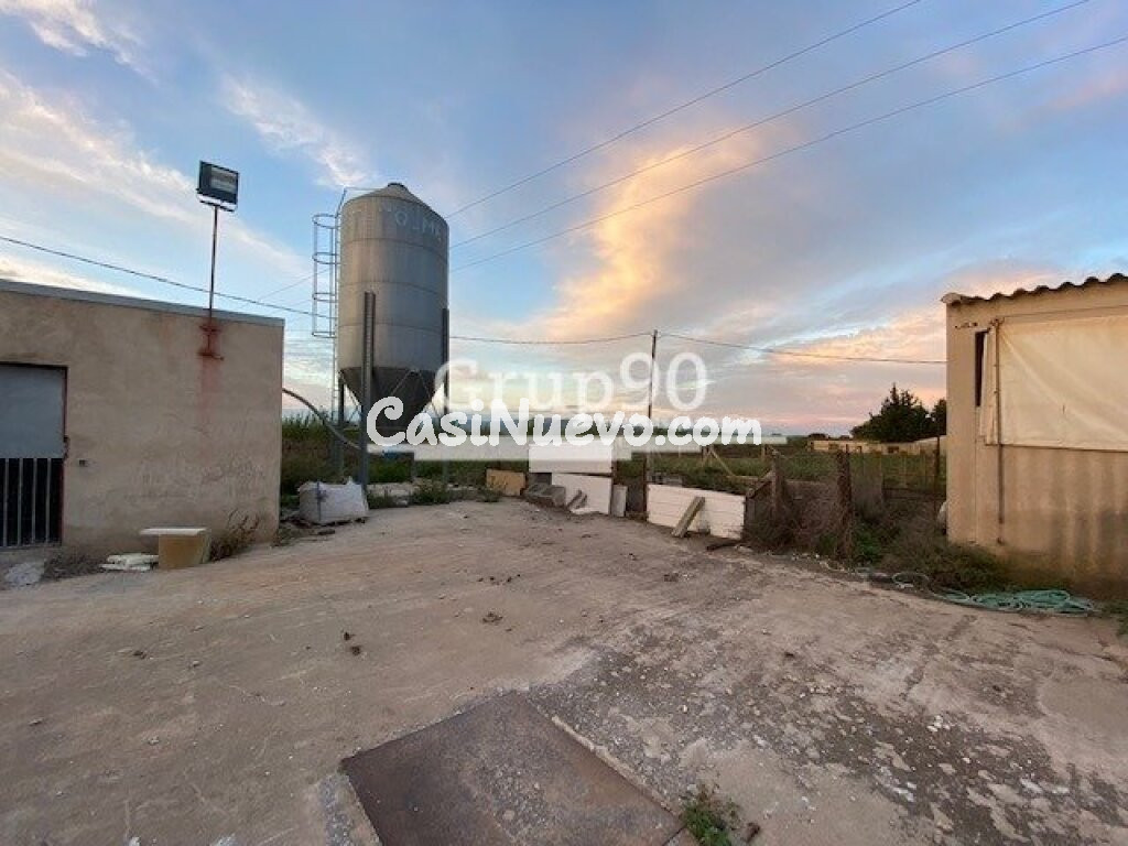 Granja para explotación de cerdos en Santa Bárbara