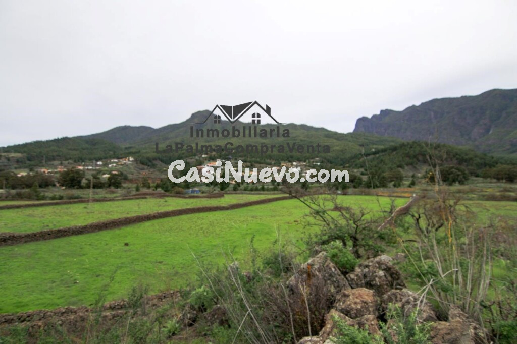 Solar residencial en Venta en Paso, El Santa Cruz de Tenerife