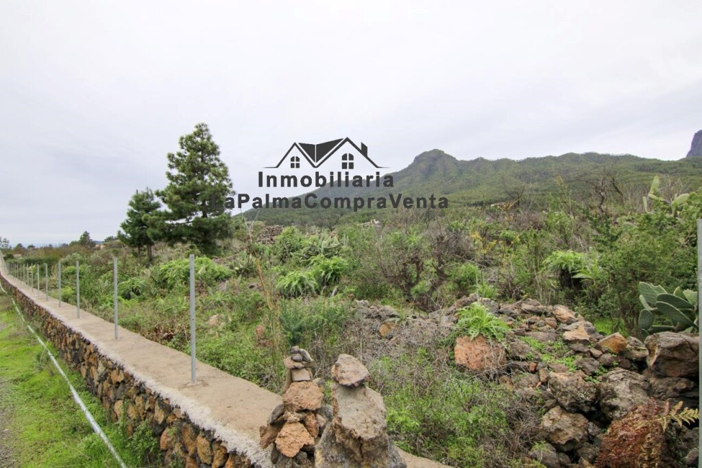 Solar residencial en Venta en Paso, El Santa Cruz de Tenerif - foto 2