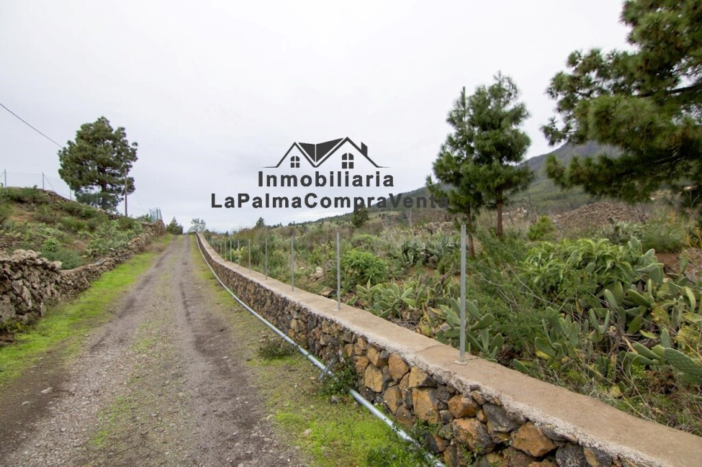 Solar residencial en Venta en Paso, El Santa Cruz de Tenerif - foto 3