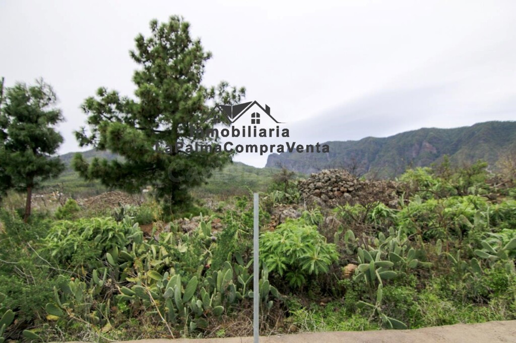 Solar residencial en Venta en Paso, El Santa Cruz de Tenerif - foto 5