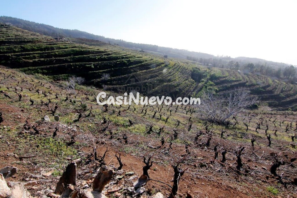Suelo rústico en Venta en Puntagorda Santa Cruz de Tenerife