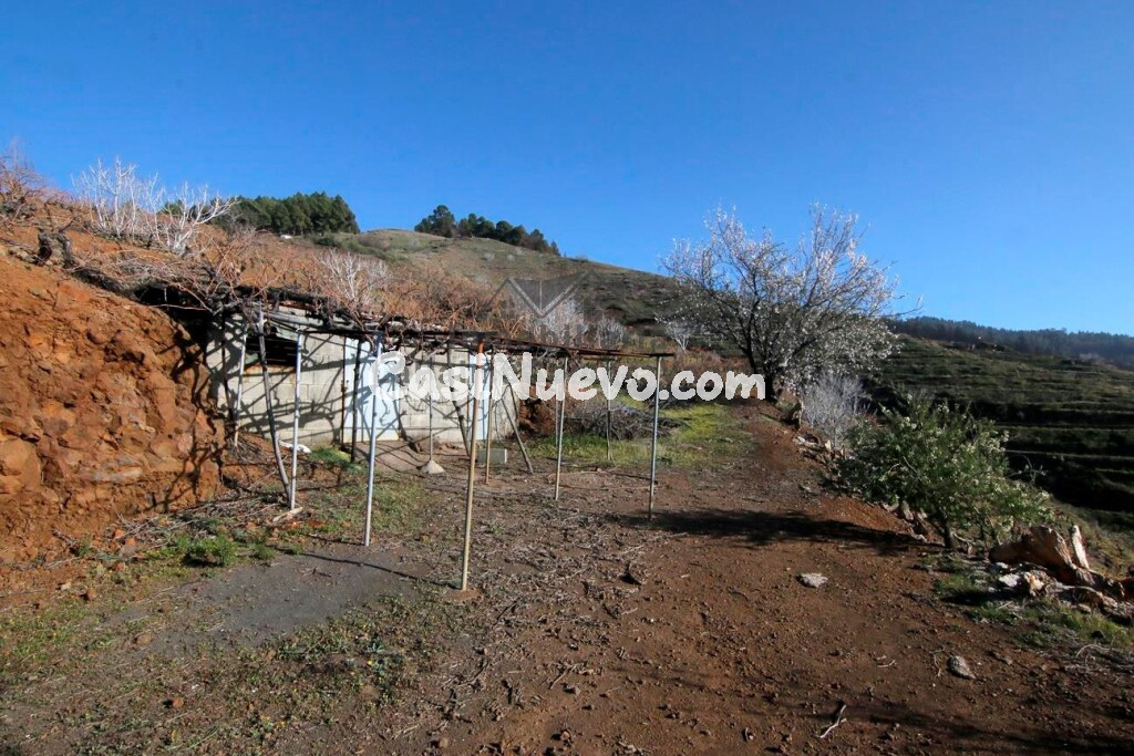 Suelo rústico en Venta en Puntagorda Santa Cruz de Tenerife