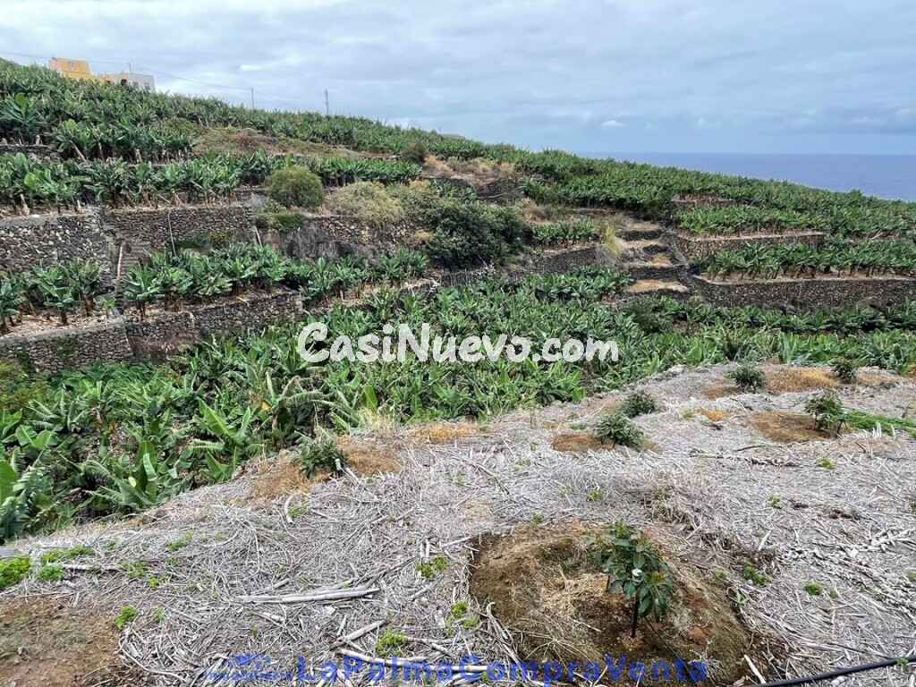 Suelo rústico en Venta en San Andres Y Sauces Santa Cruz de Tenerife