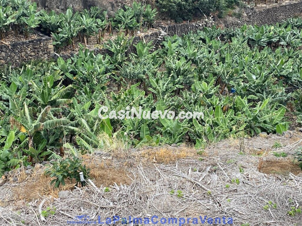 Suelo rústico en Venta en San Andres Y Sauces Santa Cruz de Tenerife