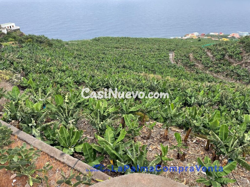 Suelo rústico en Venta en San Andres Y Sauces Santa Cruz de Tenerife