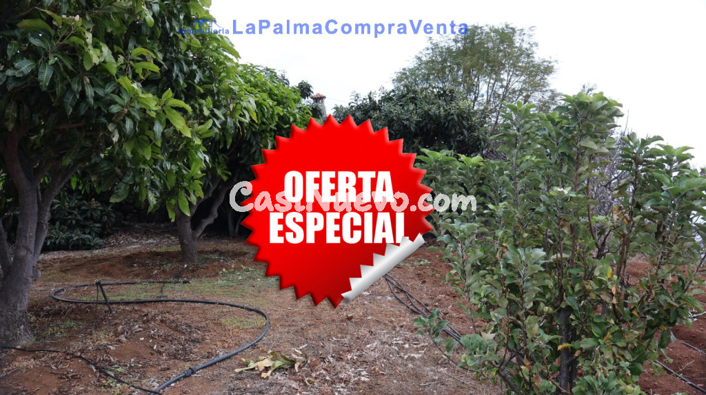 Suelo rústico en Venta en Puntallana Santa Cruz de Tenerife