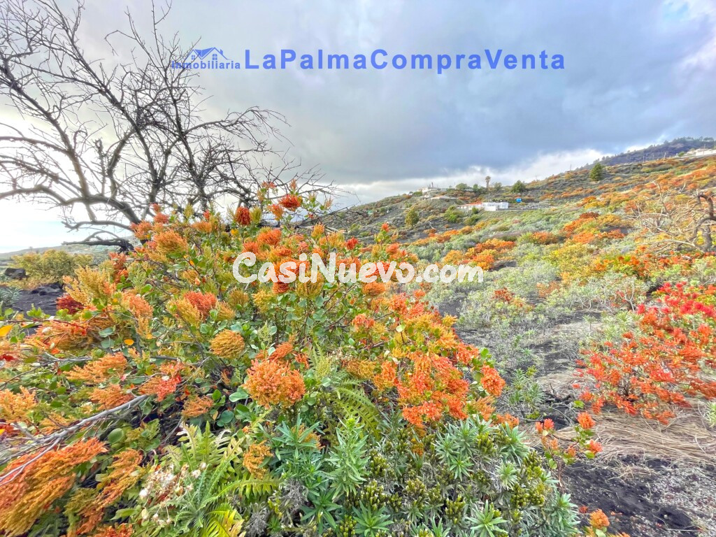 Casa de pueblo en Venta en Llanos De Aridane, Los Santa Cruz de Tenerife