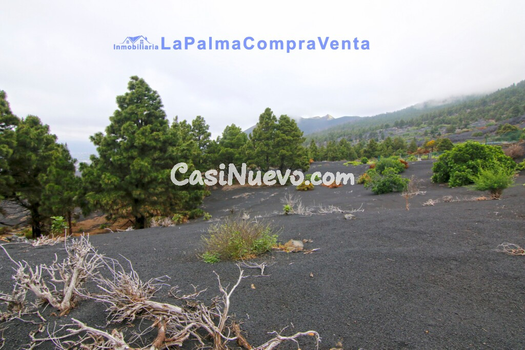 Suelo rústico en Venta en Manchas, Las (El Paso) Santa Cruz de Tenerife