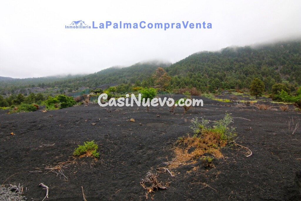 Suelo rústico en Venta en Manchas, Las (El Paso) Santa Cruz de Tenerife