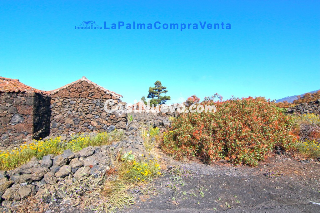 Suelo rústico en Venta en Paso, El Santa Cruz de Tenerife