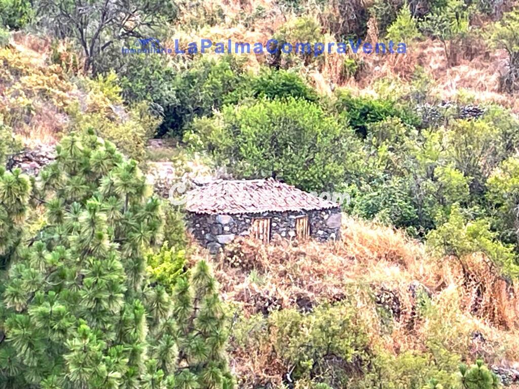 Suelo rústico en Venta en Tijarafe Santa Cruz de Tenerife