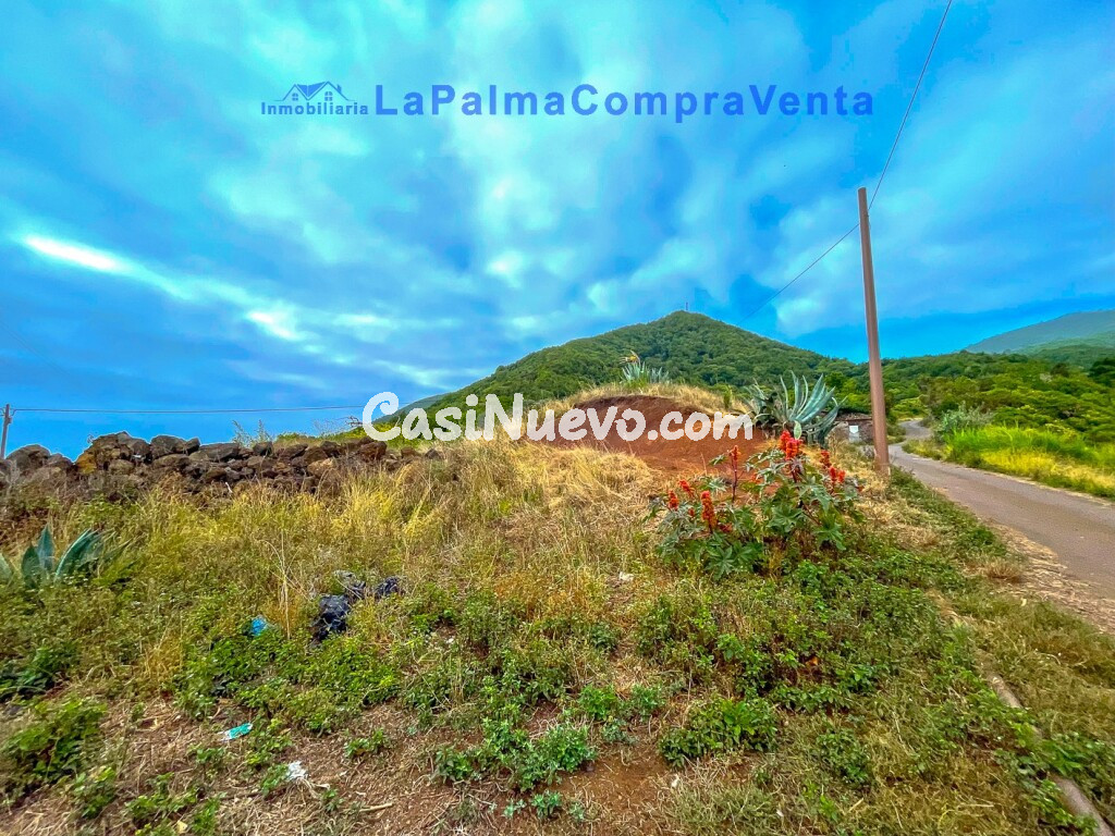 Solar residencial en Venta en Puntallana Santa Cruz de Tenerife