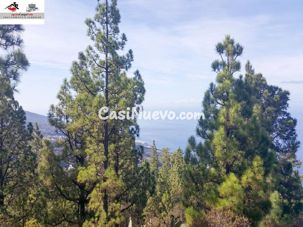 Suelo rústico en Venta en Tijarafe Santa Cruz de Tenerife