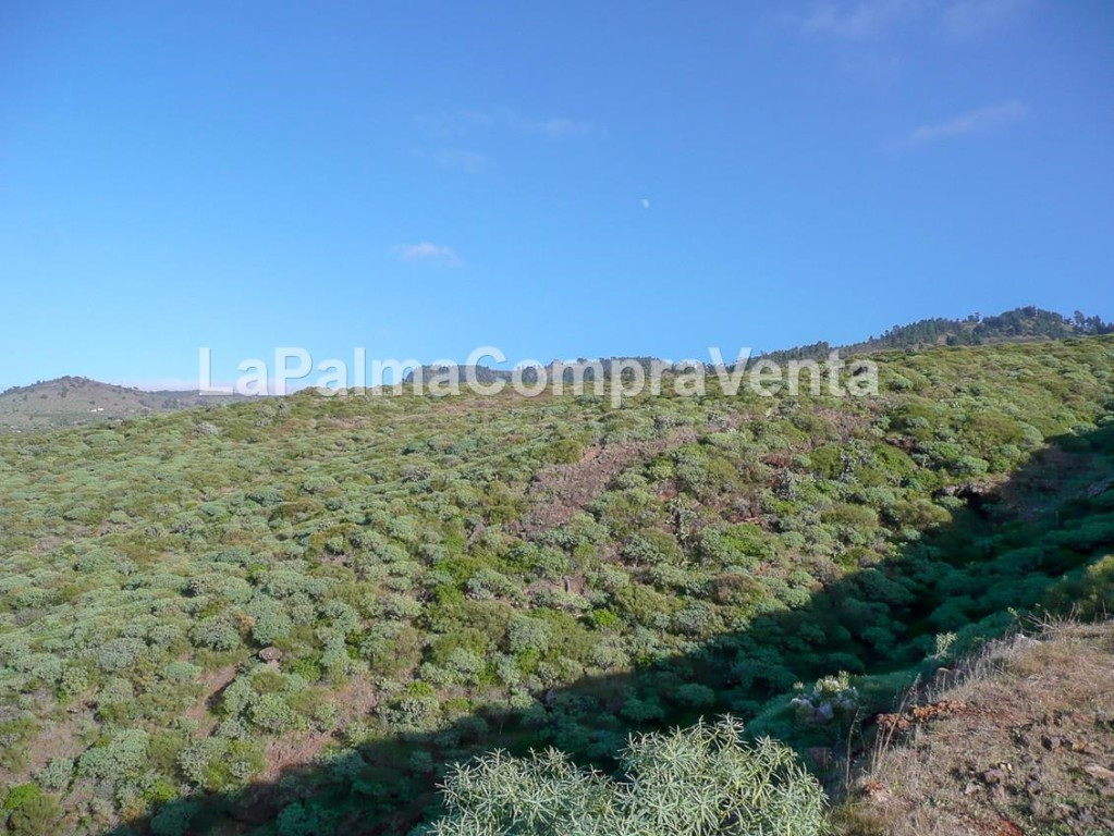 Suelo rústico en Venta en Tricias, Las Santa Cruz de Tenerif - foto 3