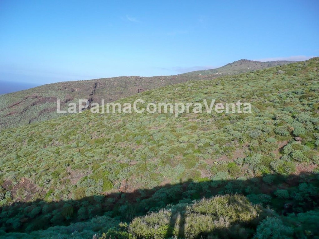 Suelo rústico en Venta en Tricias, Las Santa Cruz de Tenerif - foto 4