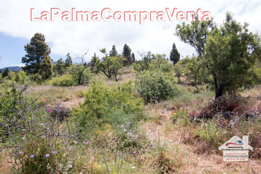 Suelo urbanizable en Venta en Puntagorda Santa Cruz de Tener - foto 4