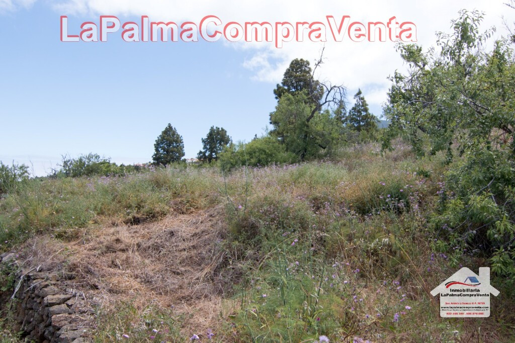 Suelo urbanizable en Venta en Puntagorda Santa Cruz de Tener - foto 5