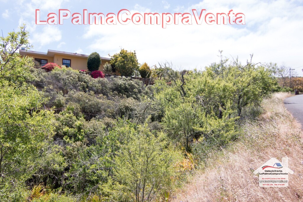 Suelo rústico en Venta en Puntagorda Santa Cruz de Tenerife