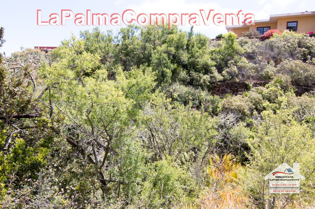 Suelo rústico en Venta en Puntagorda Santa Cruz de Tenerife - foto 2