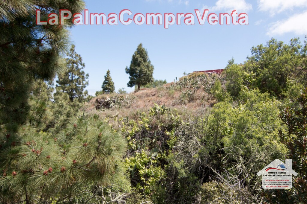 Suelo rústico en Venta en Puntagorda Santa Cruz de Tenerife - foto 4