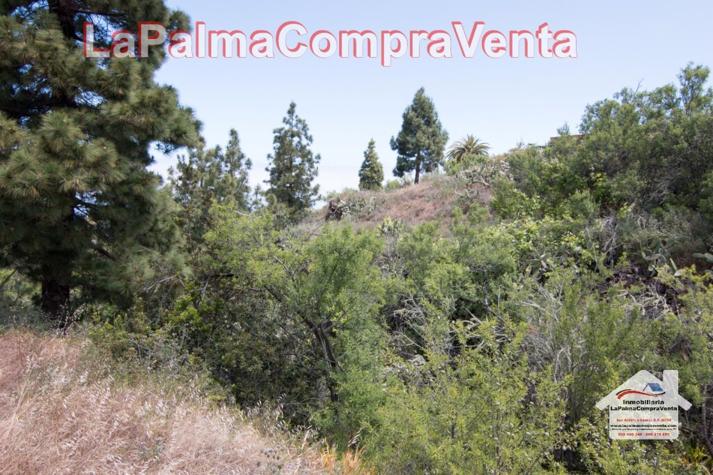 Suelo rústico en Venta en Puntagorda Santa Cruz de Tenerife - foto 2