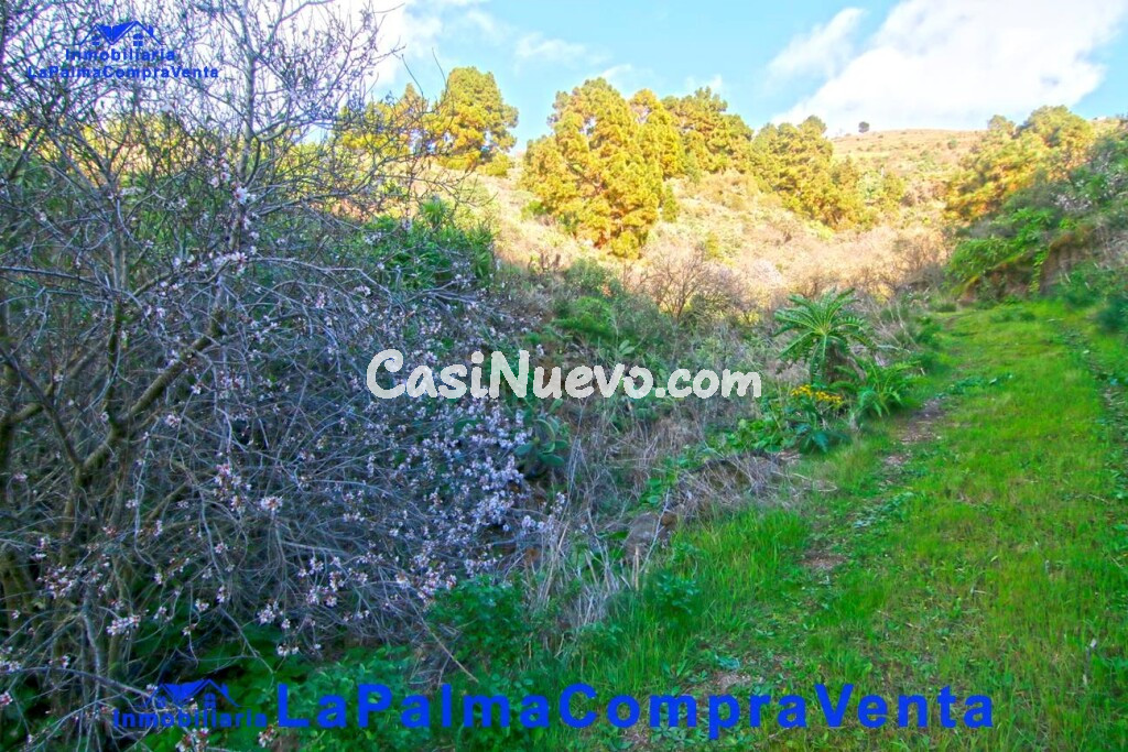 Suelo rústico en Venta en Aguatavar Santa Cruz de Tenerife