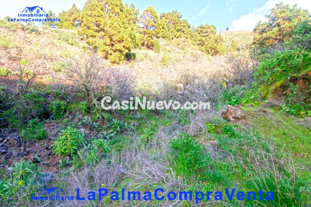 Suelo rústico en Venta en Aguatavar Santa Cruz de Tenerife