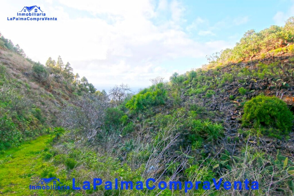 Suelo rústico en Venta en Aguatavar Santa Cruz de Tenerife - foto 4