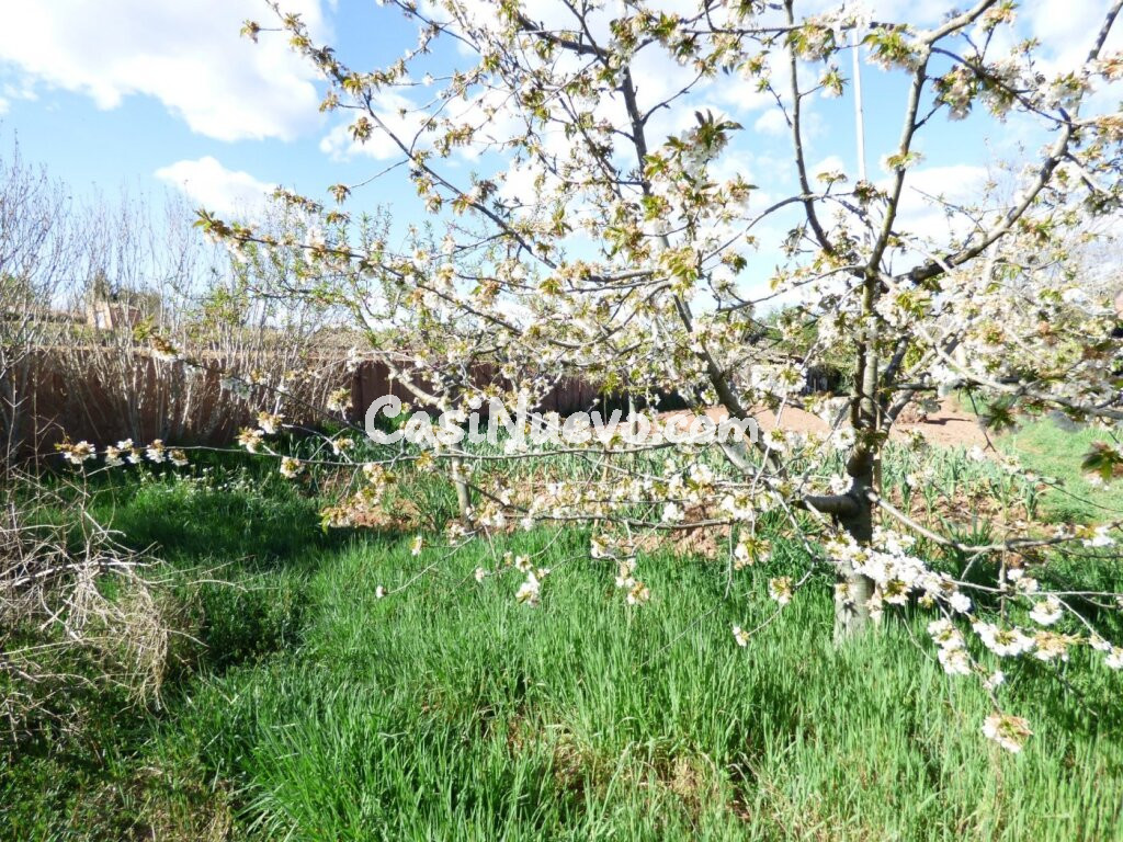 FINCA RÚSTICA DE 2.200 M2 CON AGUA DE ACEQUIA ILIMITADA, ZONA AGRÍCOLA Y BOSCOSA EN VENTA EN MANRESA