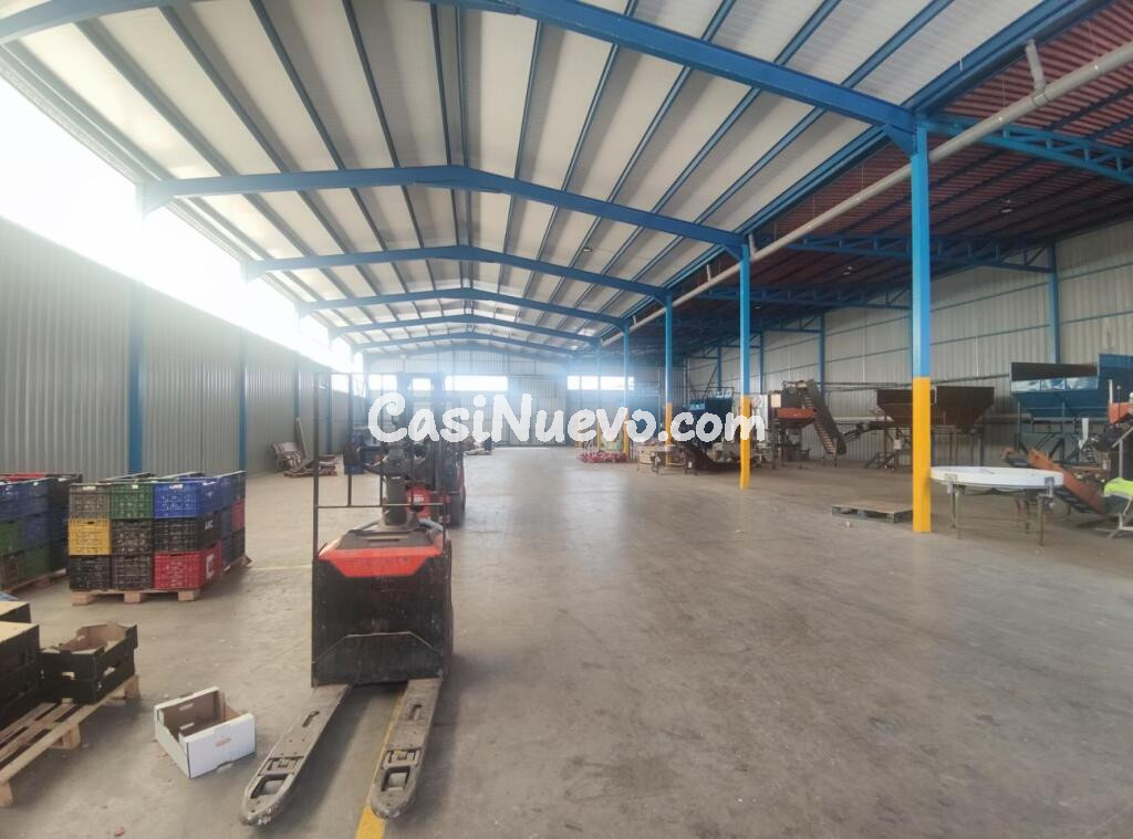 VENTA DE GRUPO DE NAVES EN PERFECTO ESTADO EN VILLASEQUILLA