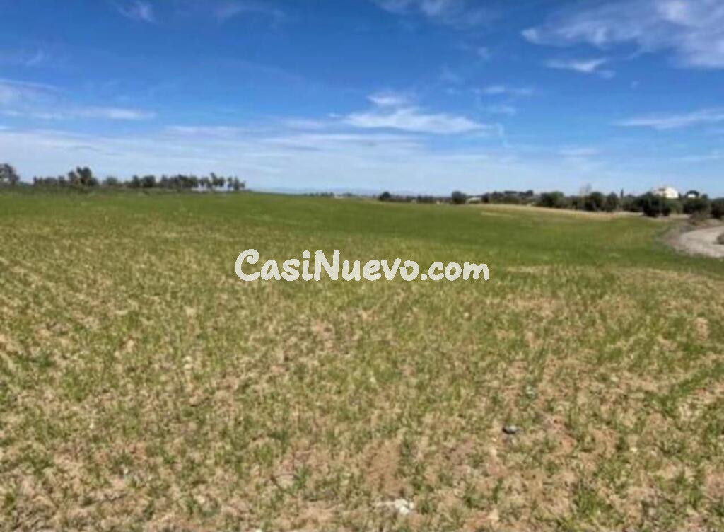 FINCA RUSTICA DE RECREO EN OLIAS DEL REY