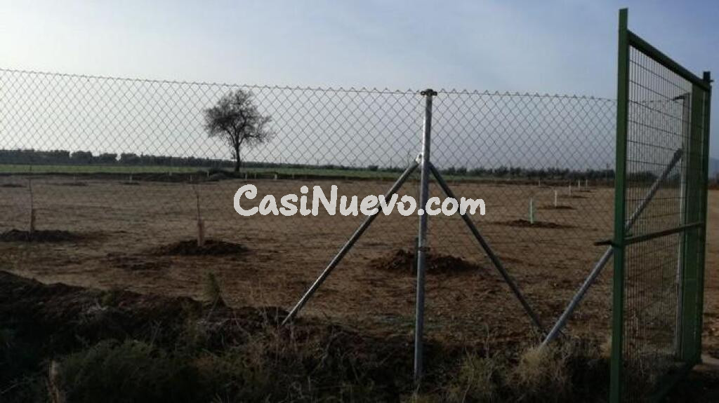 Parcela tipo Industrial