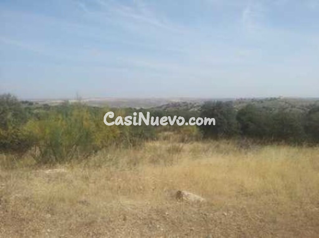 Parcela en Montesión