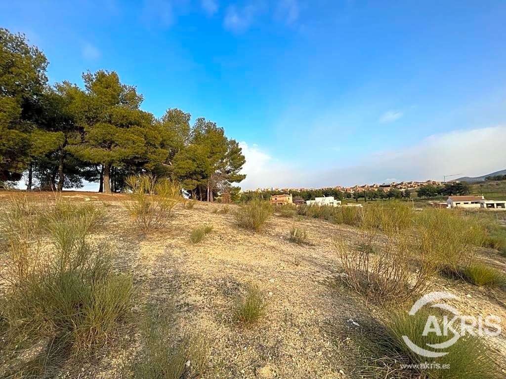 la mejor ubicación del campo de Golf - foto 16