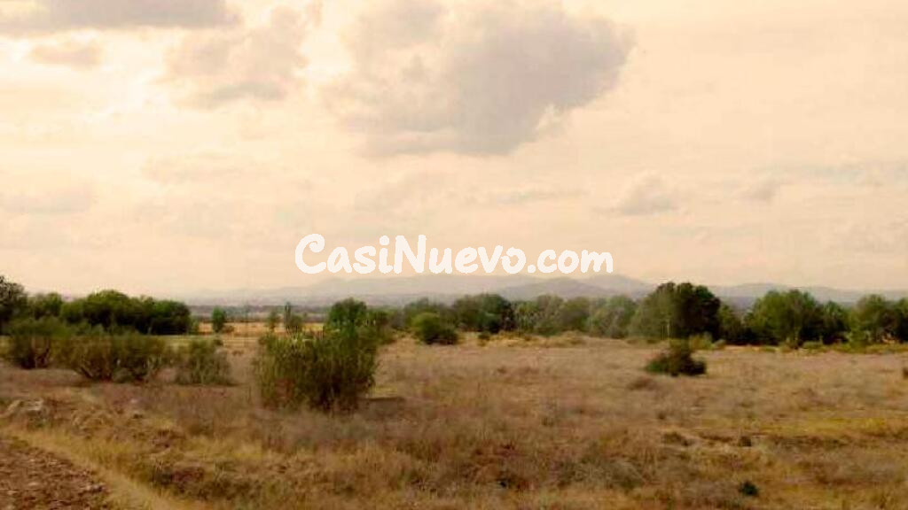 TERRENO URBANIZABLE EN DESARROLLO EN ALGETE