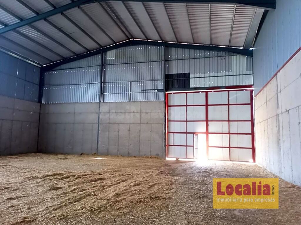 Nave Granelera junto a A-67 en Palencia - foto 4