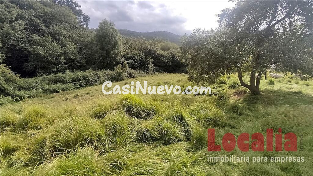 Extenso suelo urbano Limpias, Cantabria