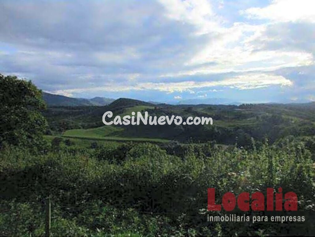 Extenso suelo a buen precio en Reocin, Cantabria