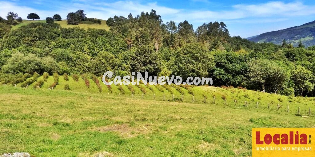 Finca rústica con cabaña y bosque autóctono