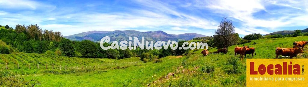 Finca rústica con cabaña y bosque autóctono