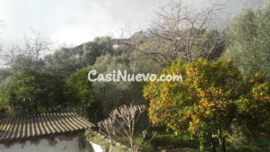 Casa de campo-Masía en Venta en Benarraba Málaga
