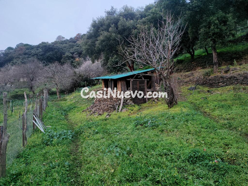 Suelo rústico en Venta en Jubrique Málaga