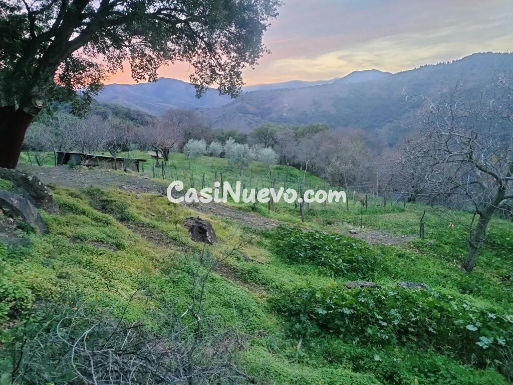 Suelo rústico en Venta en Jubrique Málaga