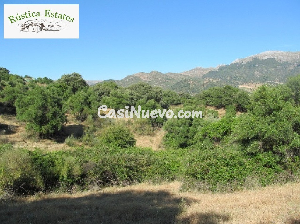 Parcela en Venta en Cortes De La Frontera Málaga