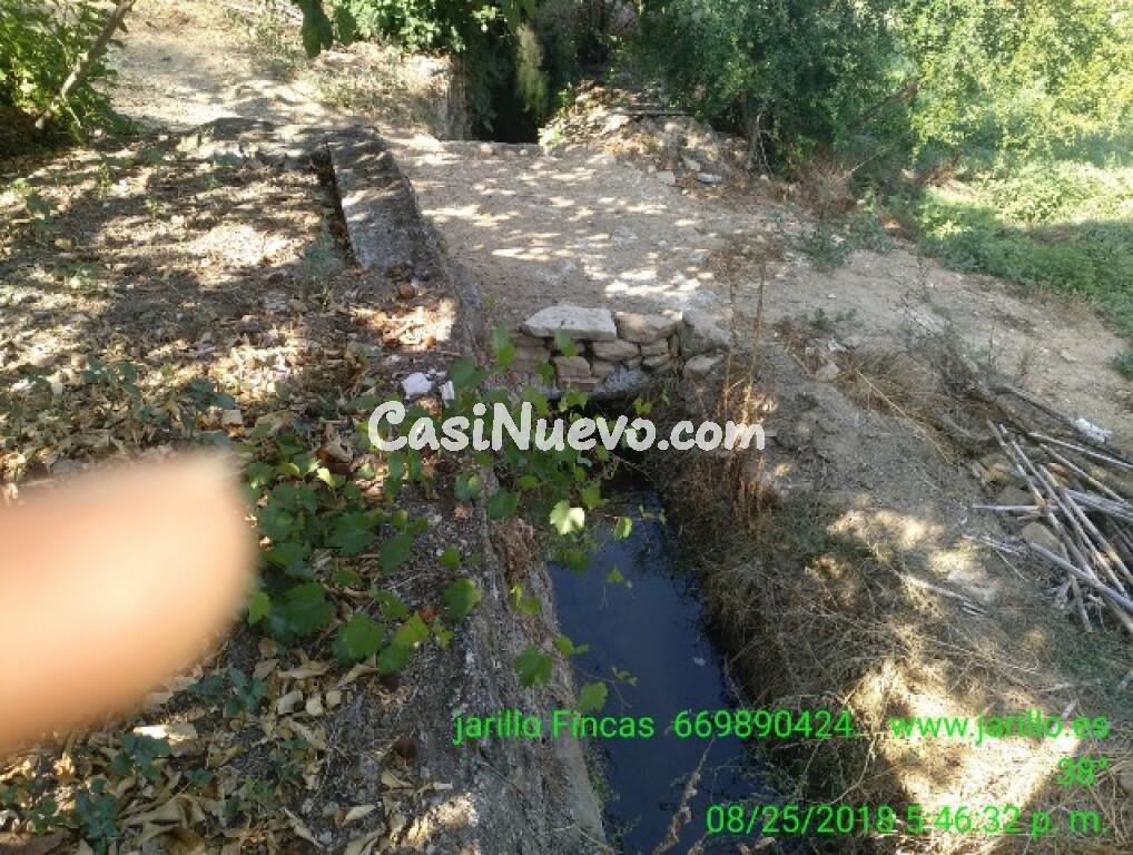 Casa de campo-Masía en Venta en Cortes De La Frontera Málaga