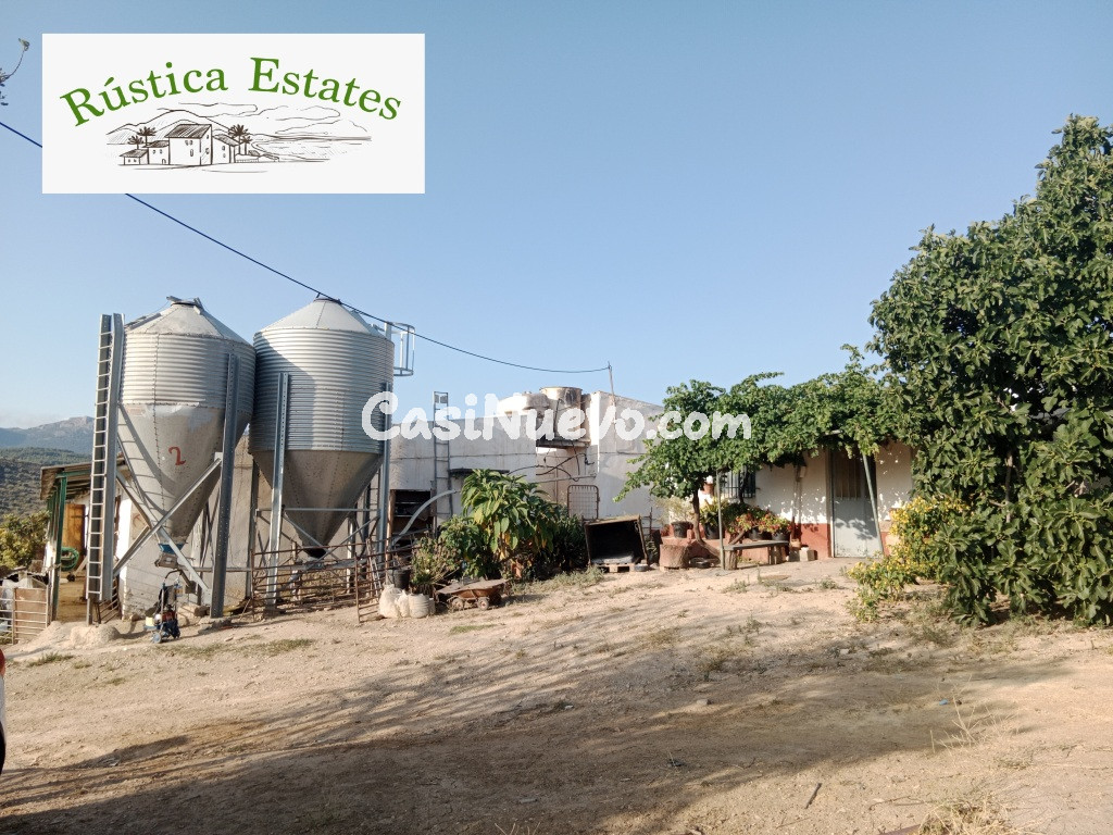 Nave industrial en Traspaso en Burgo, El Málaga