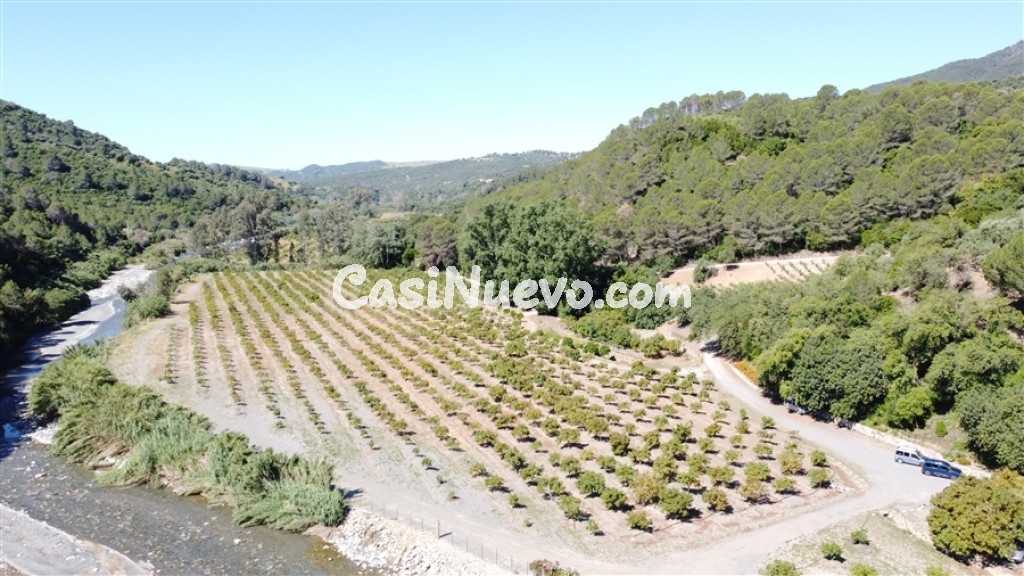 Casa de campo-Masía en Venta en Gaucín Málaga