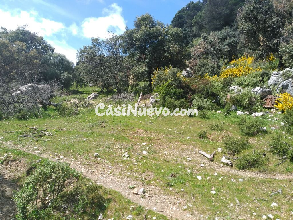 Parcela en Venta en Benalauria Málaga